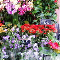 A florist in rue Montorgueil
